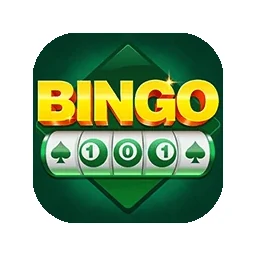 Bingo 101 cover